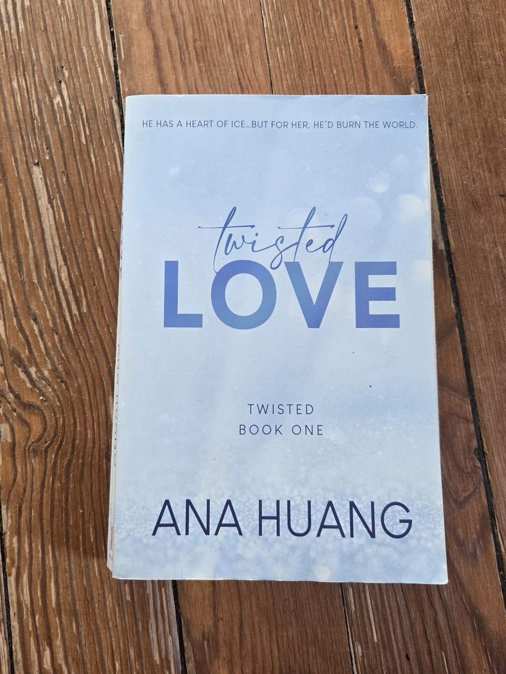 Twisted Love Book Cover Poster - Light Blue